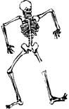 haikal
